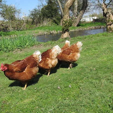 Bed&Brood De Straverdonk Graft Kültér fotó